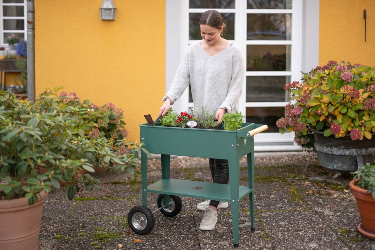 Herstera Garden Kräuterfabrik Urban grün Metall B/H/L: ca. 50x80x85 cm
