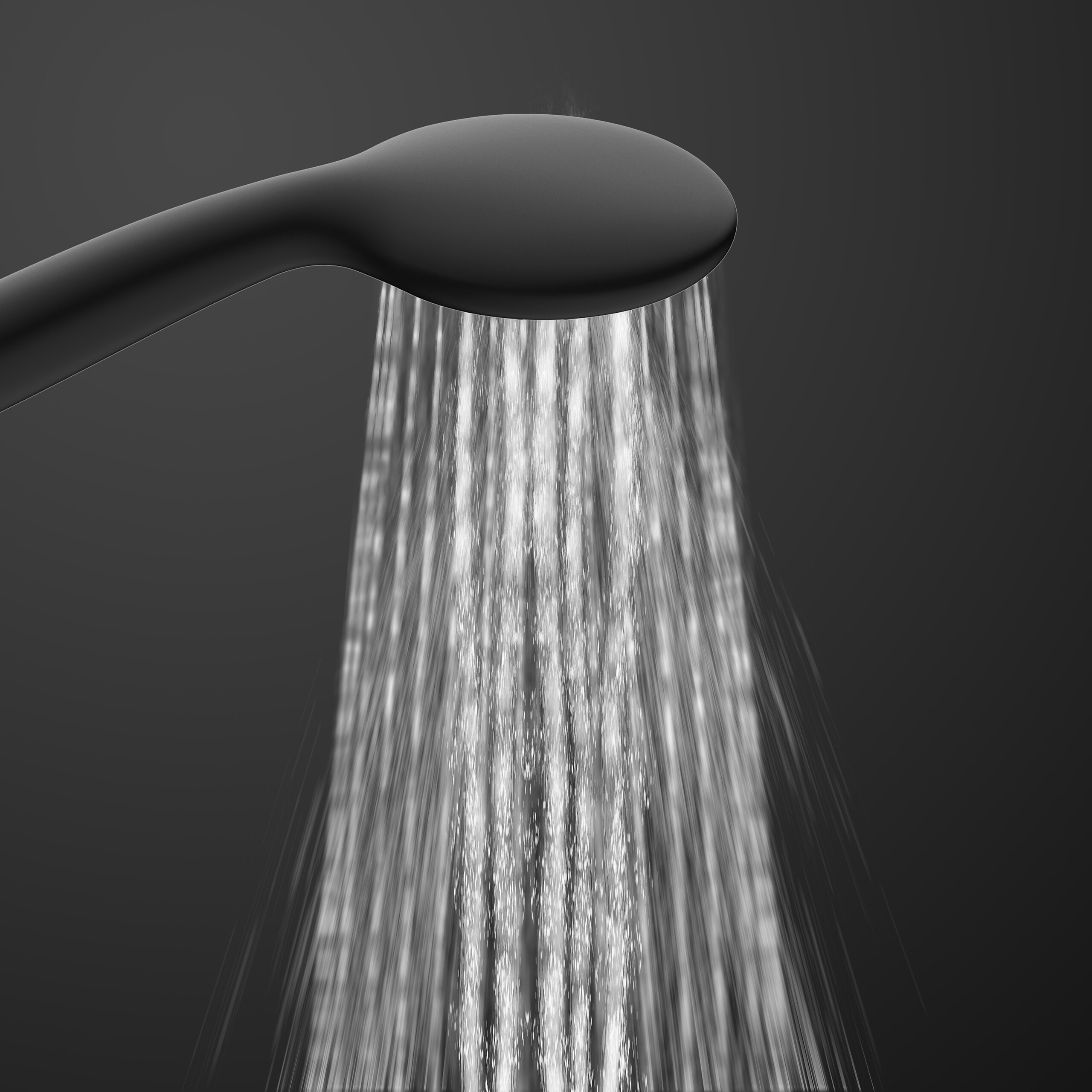 Eisl Handbrause Leon schwarz