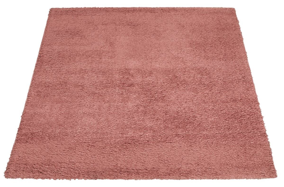 Langflorteppich Tiamo rosa B/L: ca. 120x170 cm