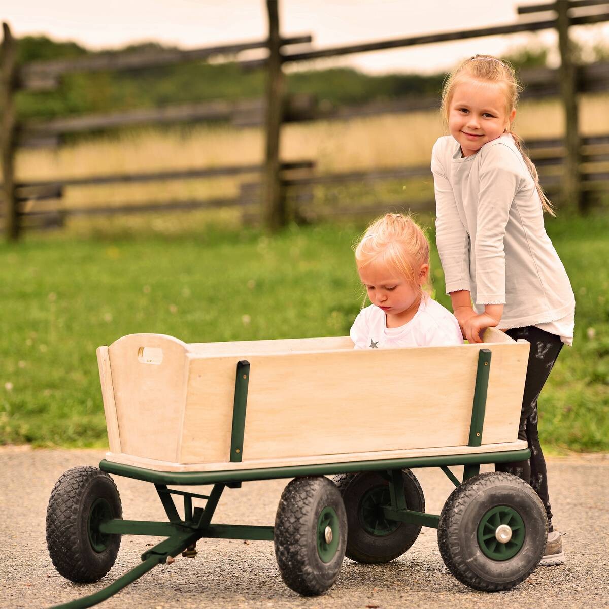 Sunny Bollerwagen Billy Beach grün B/H/L: ca. 61x97x95 cm