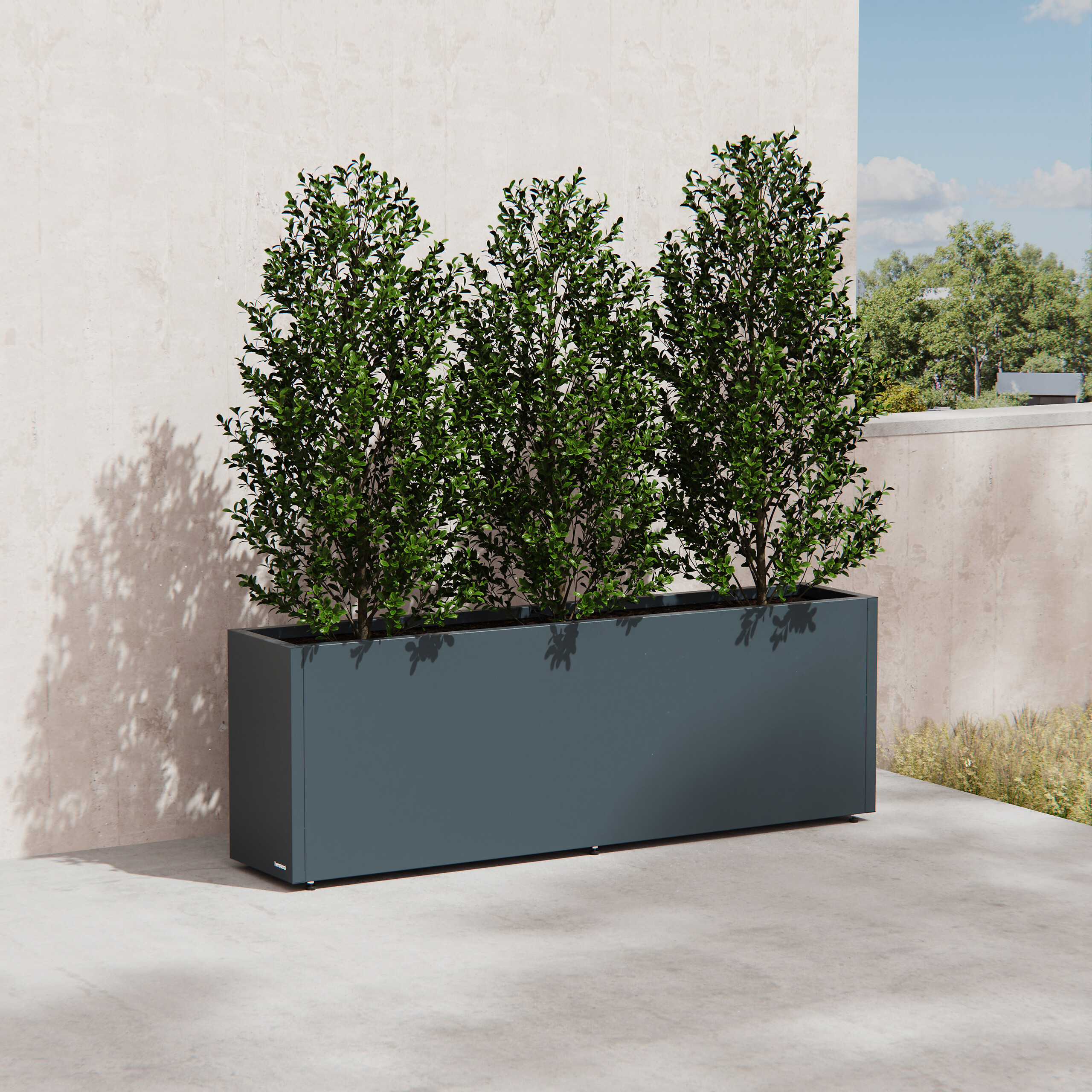 Herstera Garden Pflanzkübel Cube anthrazit Metall B/H/L: ca. 150x50x30 cm