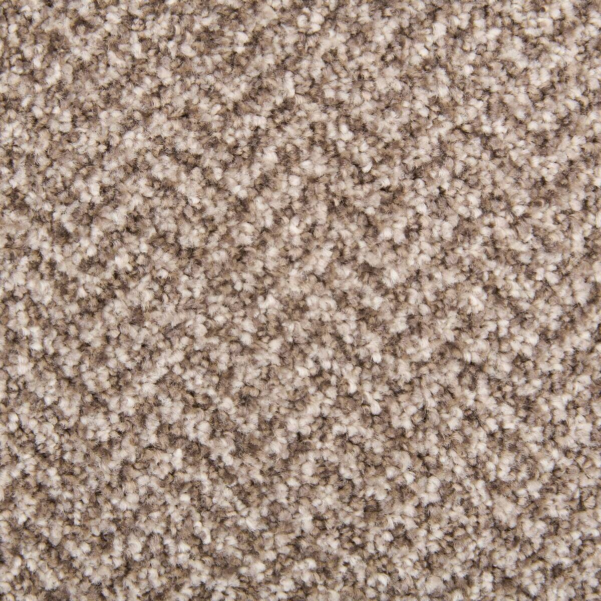 Teppichboden Icon braun B: ca. 400 cm pro m²