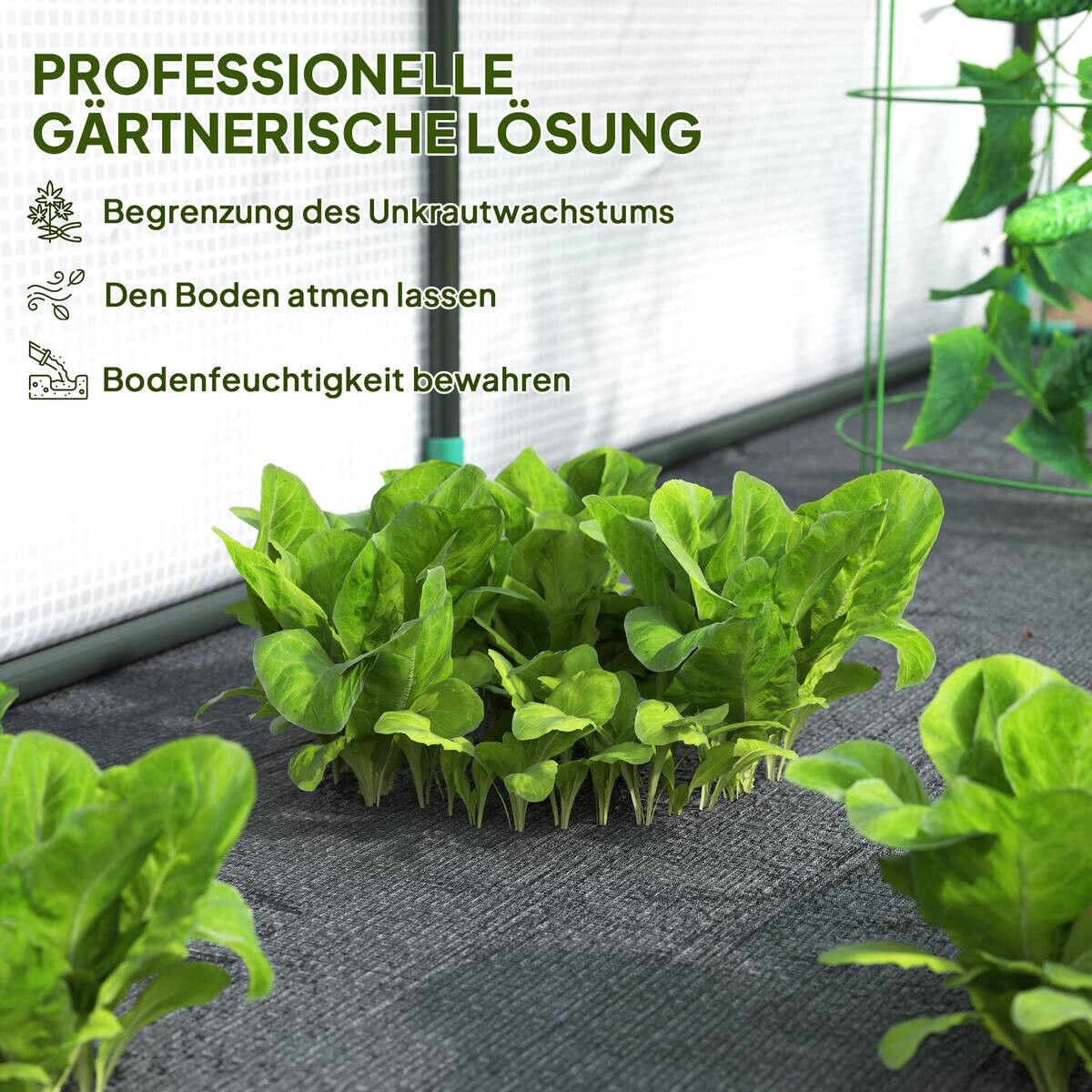 Outsunny Gewächshaus B/H/L: ca. 80x157x300 cm