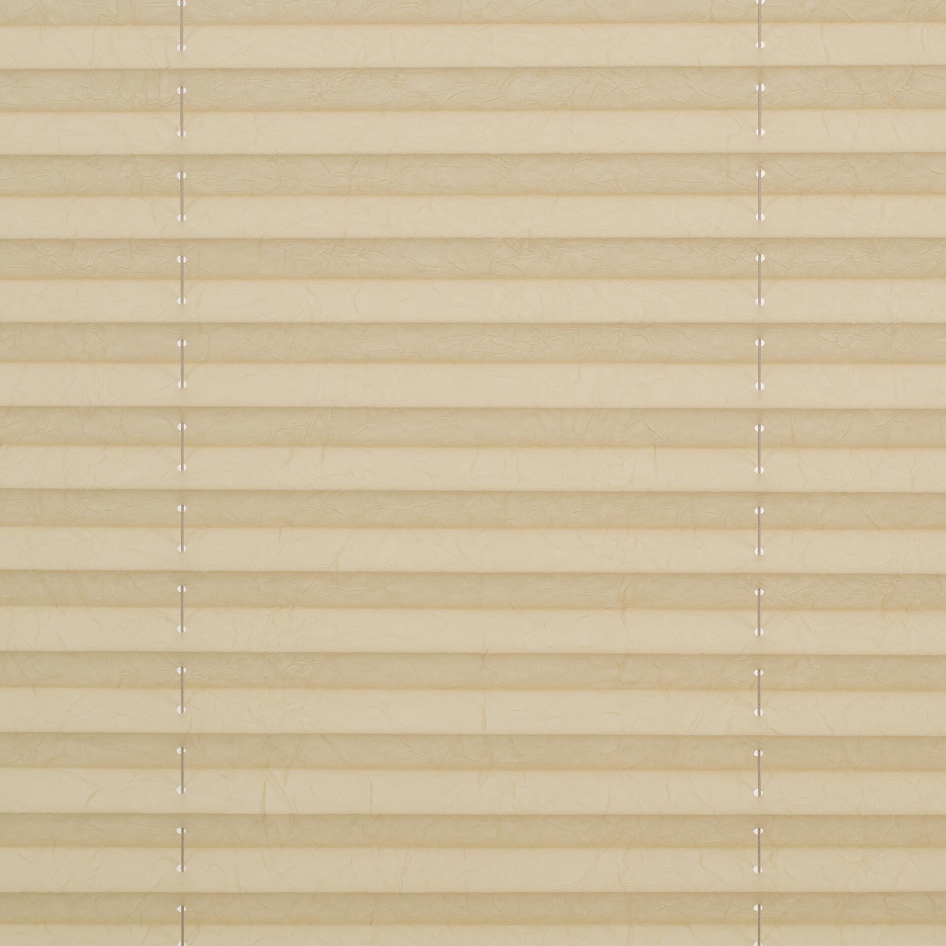 LICHTBLICK Spannplissee creme B/L: ca. 90x210 cm