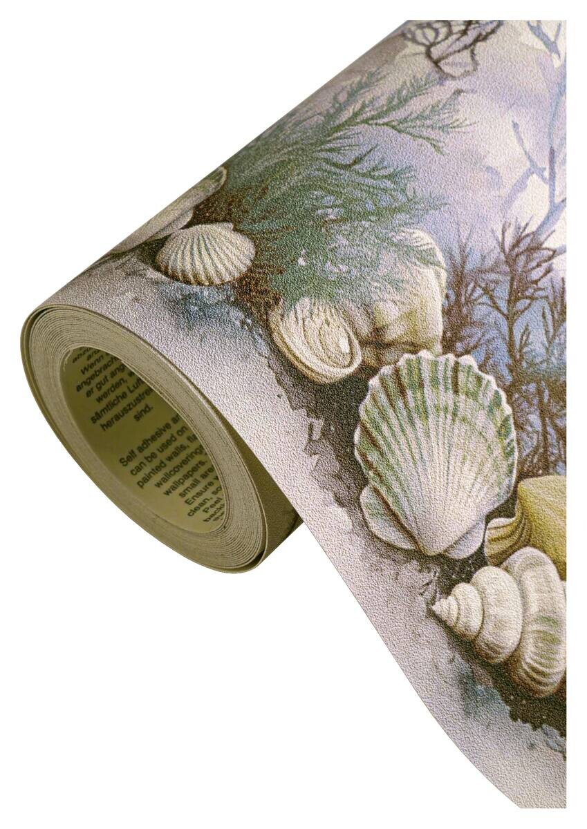 A.S.Creation Bordüre blau beige B/H/D: ca. 17x500x6,8 cm