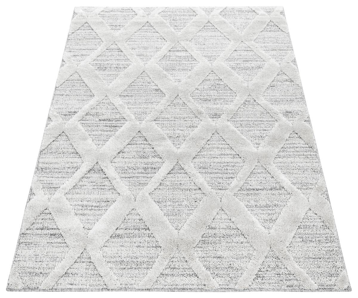 Ayyildiz Teppich PISA grau B/L: ca. 280x370 cm