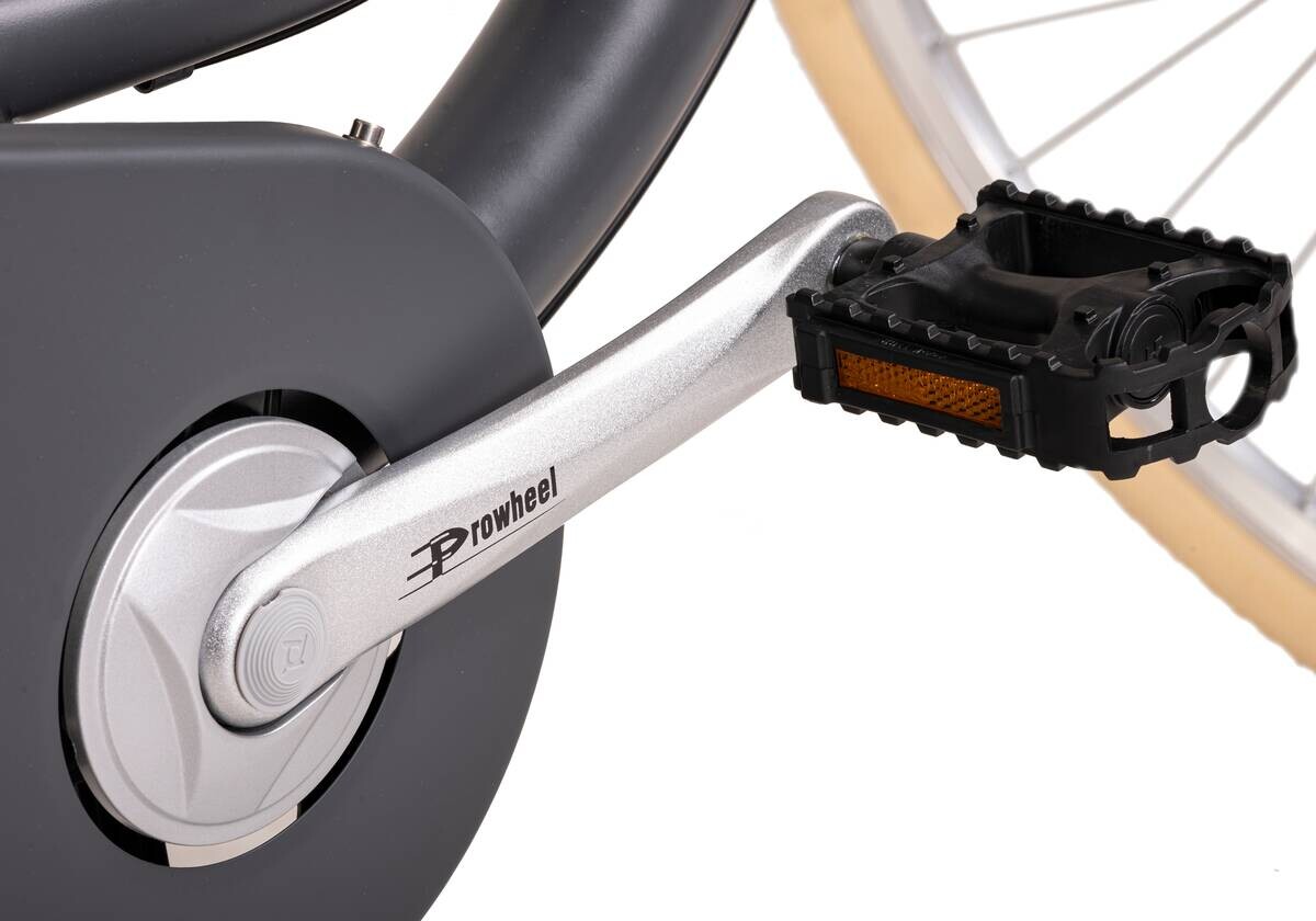 DaCapo Damenfahrrad Casino 168C 28 Zoll Rahmenhöhe 48 cm 6 Gänge anthrazit anthrazit ca. 28 Zoll