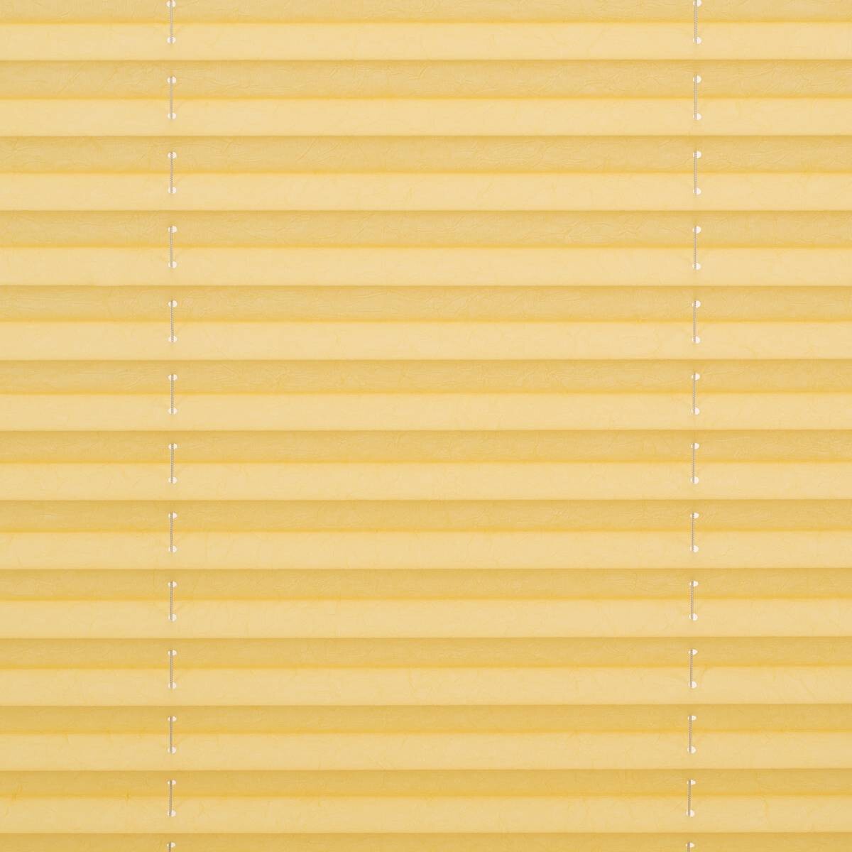 LICHTBLICK Spannplissee gelb B/L: ca. 60x210 cm