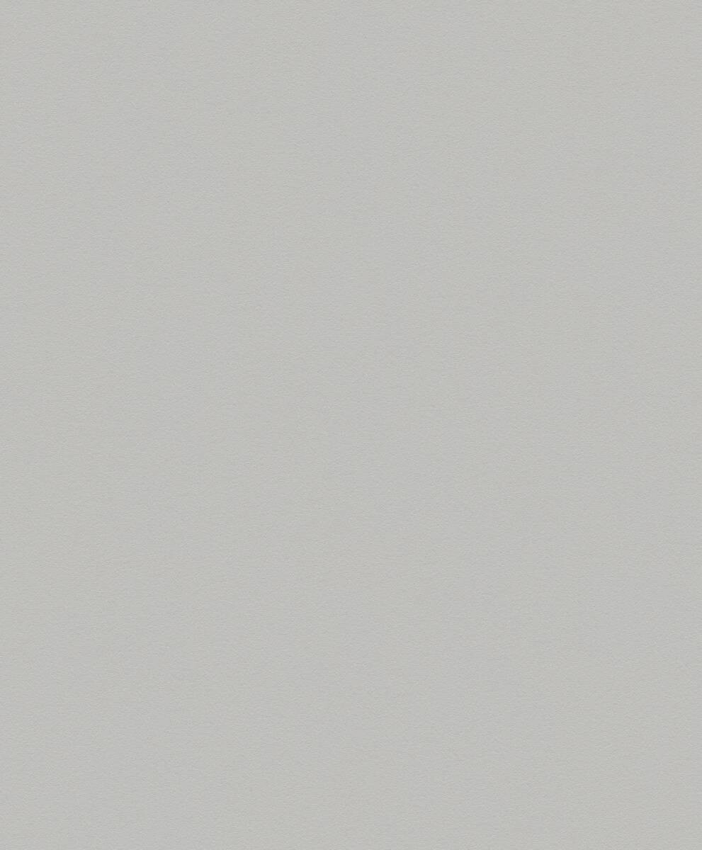 A.S.Creation Vliestapete Best of Vlies Uni grau B/L: ca. 53x1005 cm