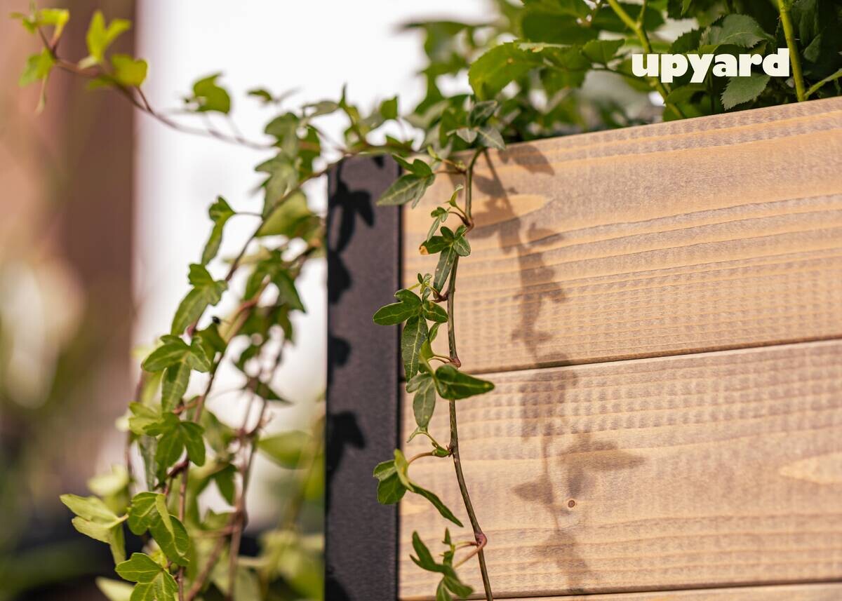 UPYARD Hochbeet MODERN grau Holz B/H/L: ca. 36x32x36 cm