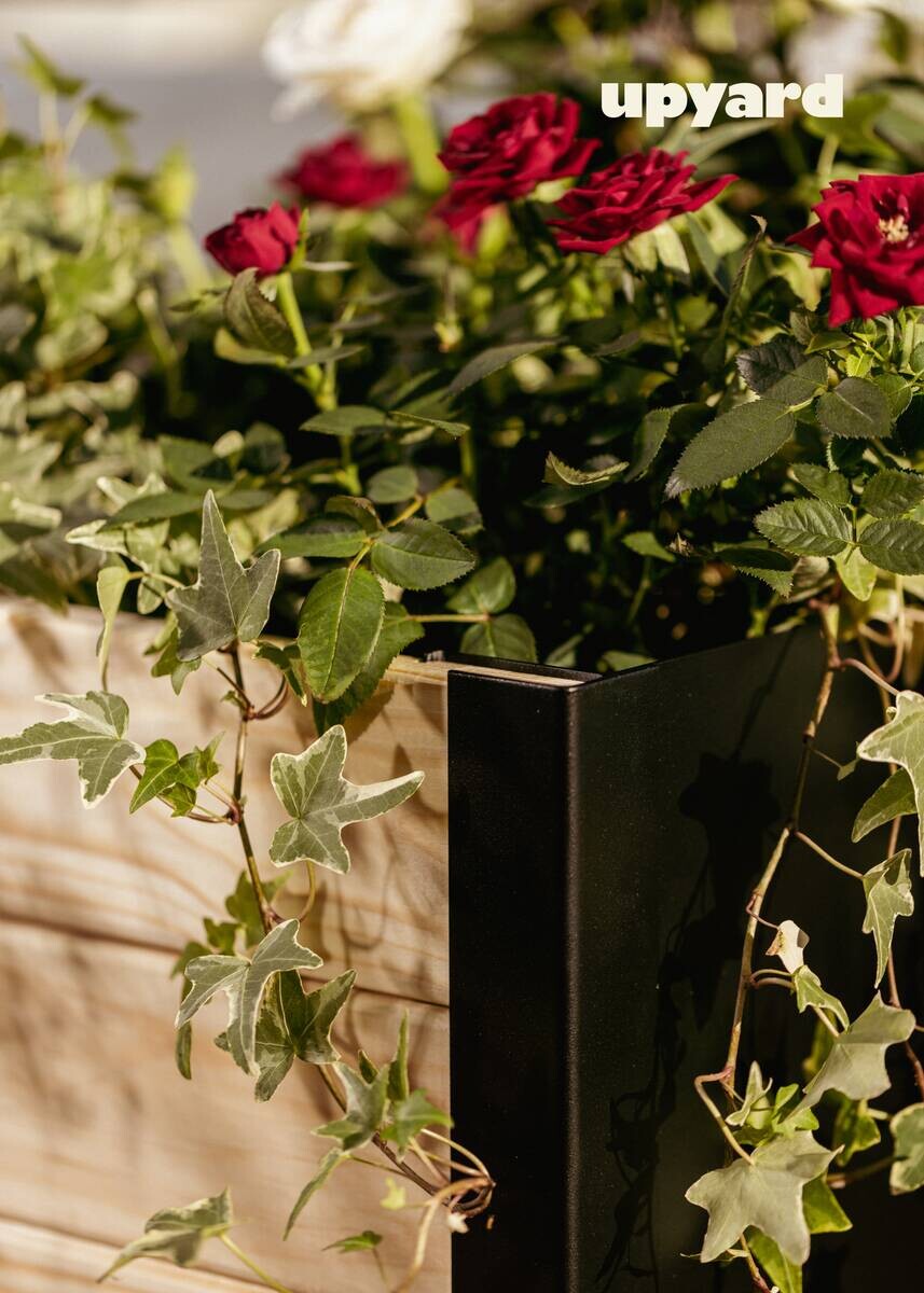 UPYARD Hochbeet MODERN natur Holz B/H/L: ca. 36x32x36 cm