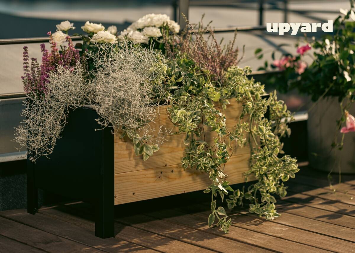 UPYARD Hochbeet MODERN natur Holz B/H/L: ca. 36x32x58 cm