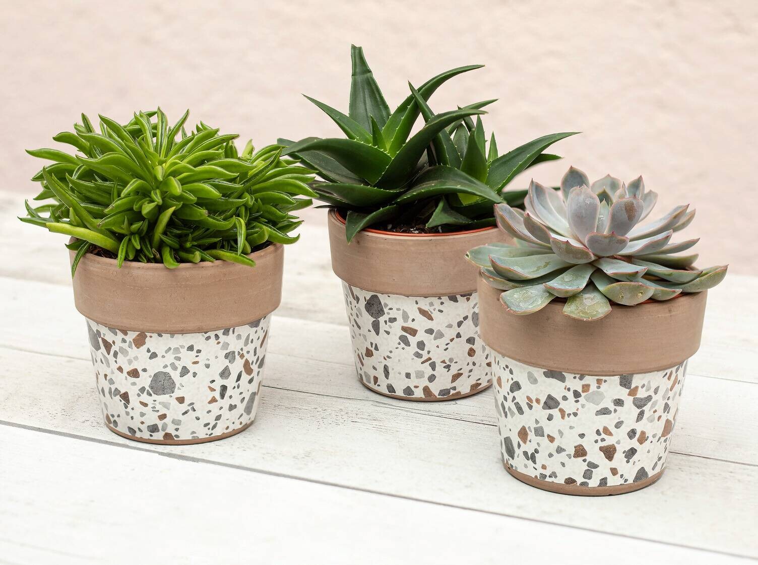 d-c-fix Dekofolie Steine Terrazzo Steine grau bunt B/L: ca. 45x200 cm