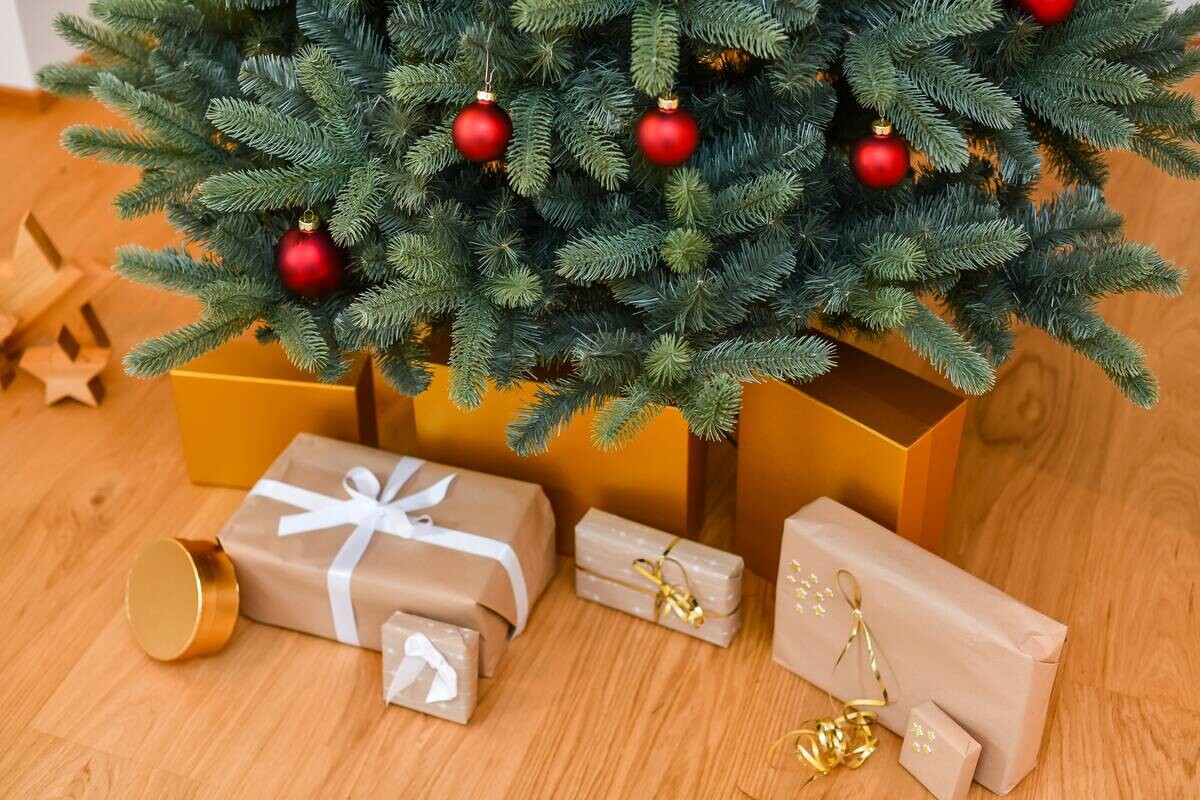 Evergreen Weihnachtsbaum Vermont Fichte