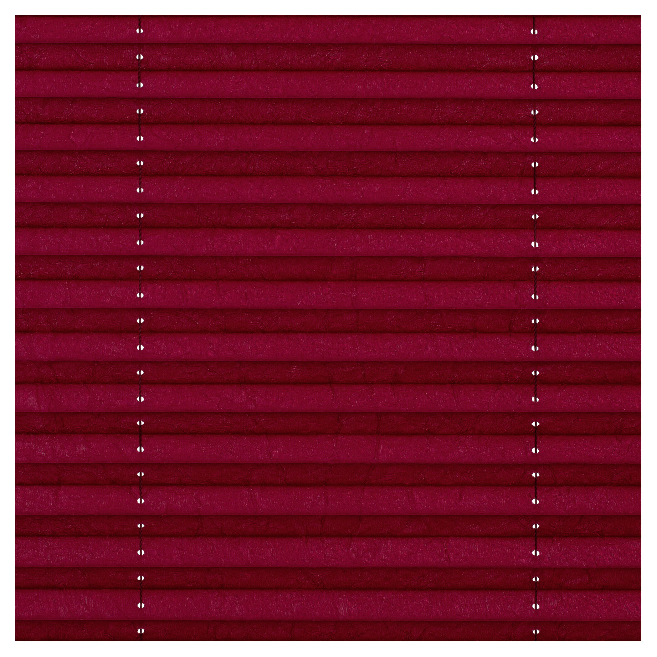 LICHTBLICK Spannplissee brombeer B/L: ca. 50x130 cm