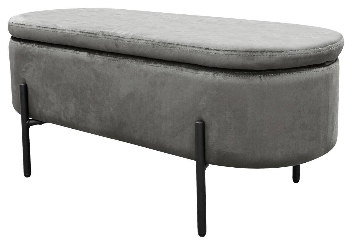 Truhe NOVA grau B/H/T: ca. 95x42x37,5 cm