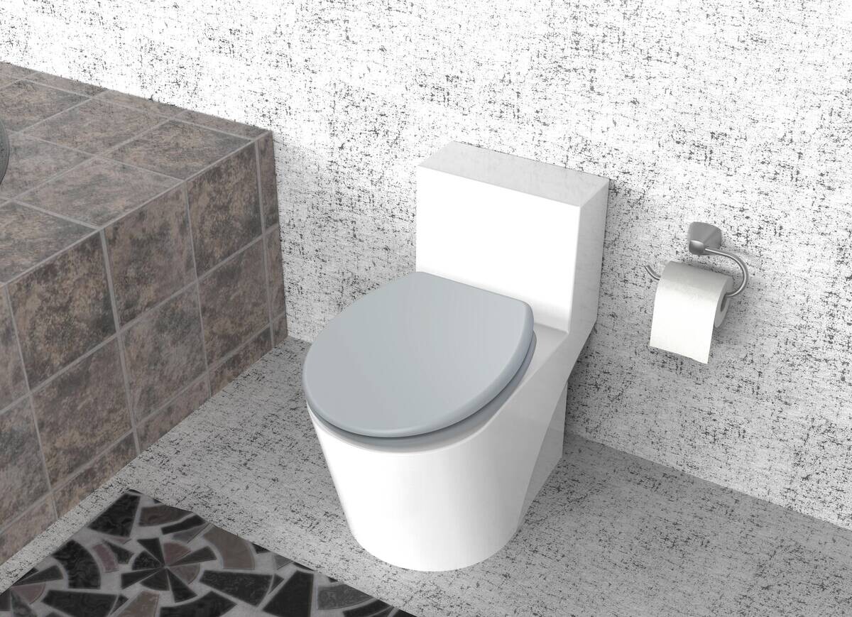 POCOline WC-Sitz Cassano grau Duroplast