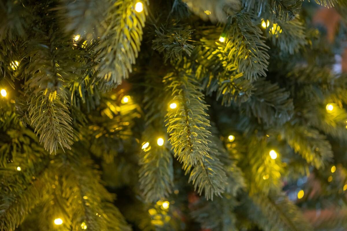 Evergreen Weihnachtsbaum Vermont Fichte grün PVC H/D: ca. 180x129 cm