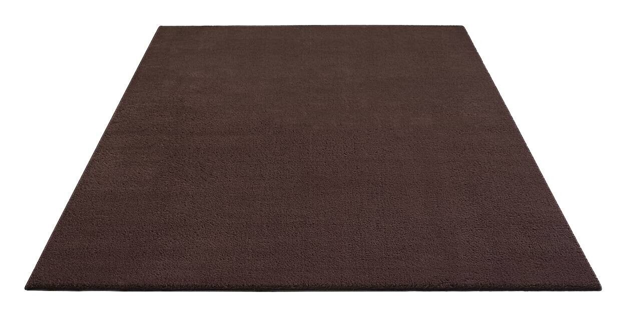 Teppich Loft braun B/H/L: ca. 120x13x160 cm
