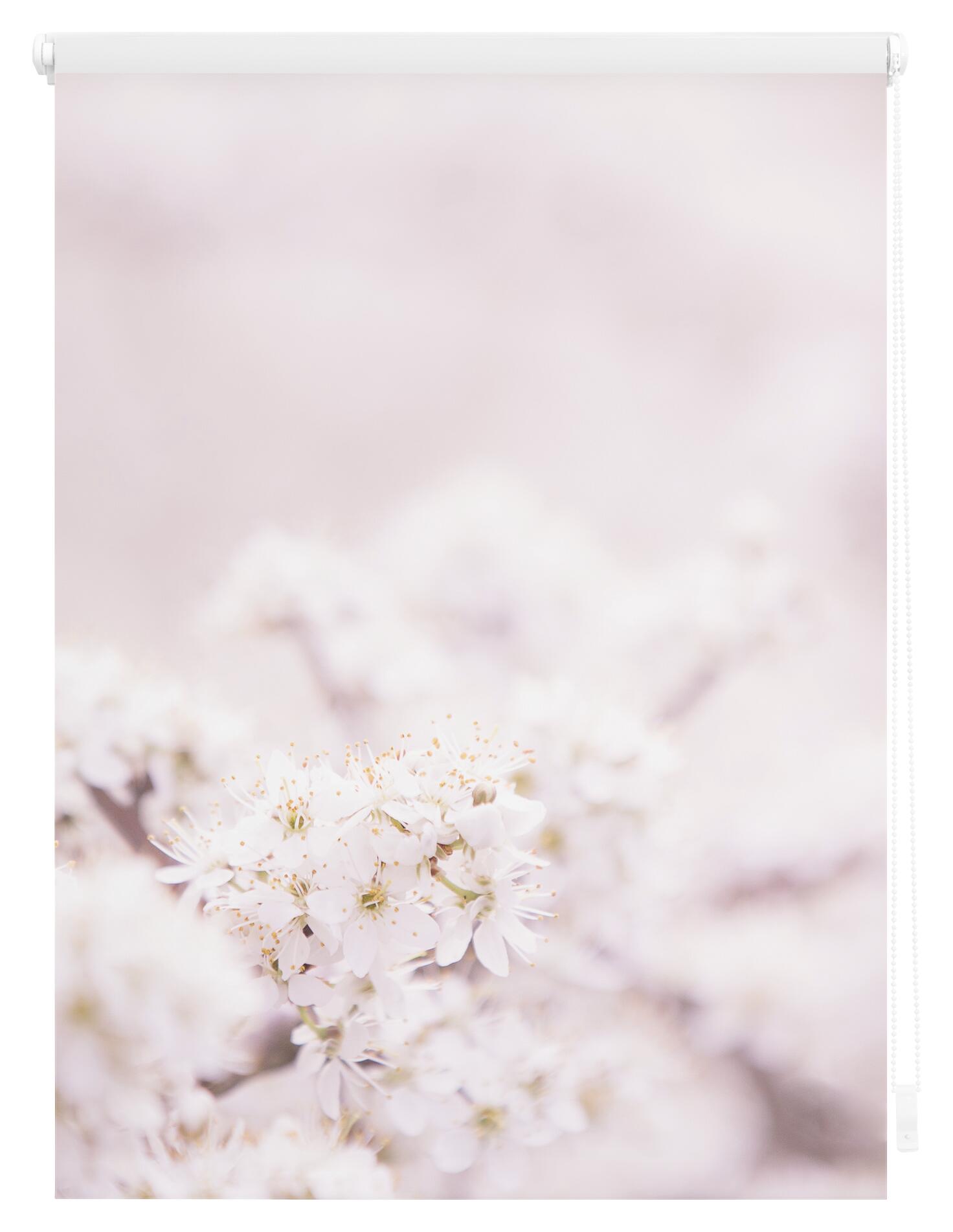 LICHTBLICK Rollo Kirschblüten rosé B/L: ca. 100x150 cm