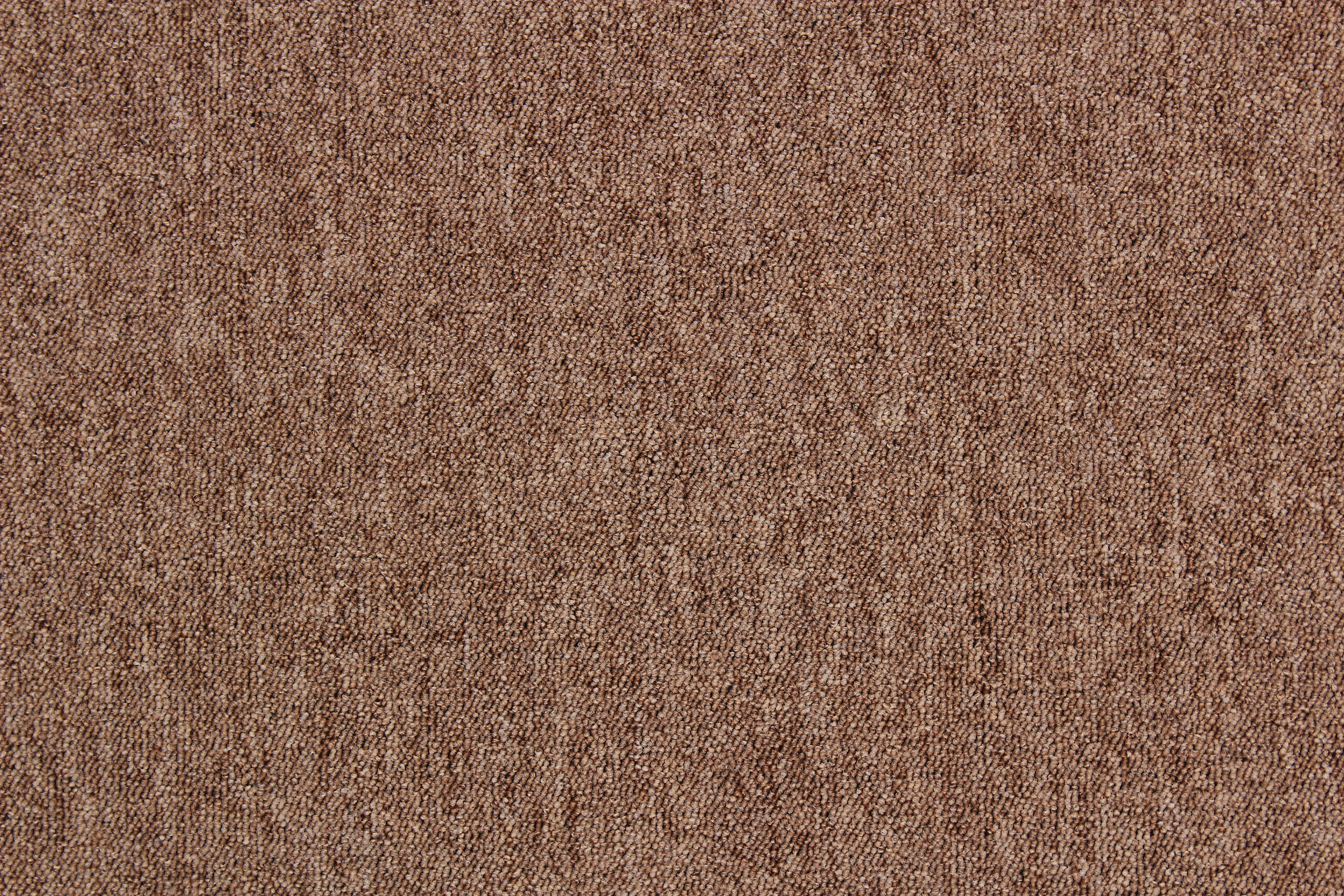 Teppichfliese Sierra hellbraun B/L: ca. 50x50 cm pro Stück