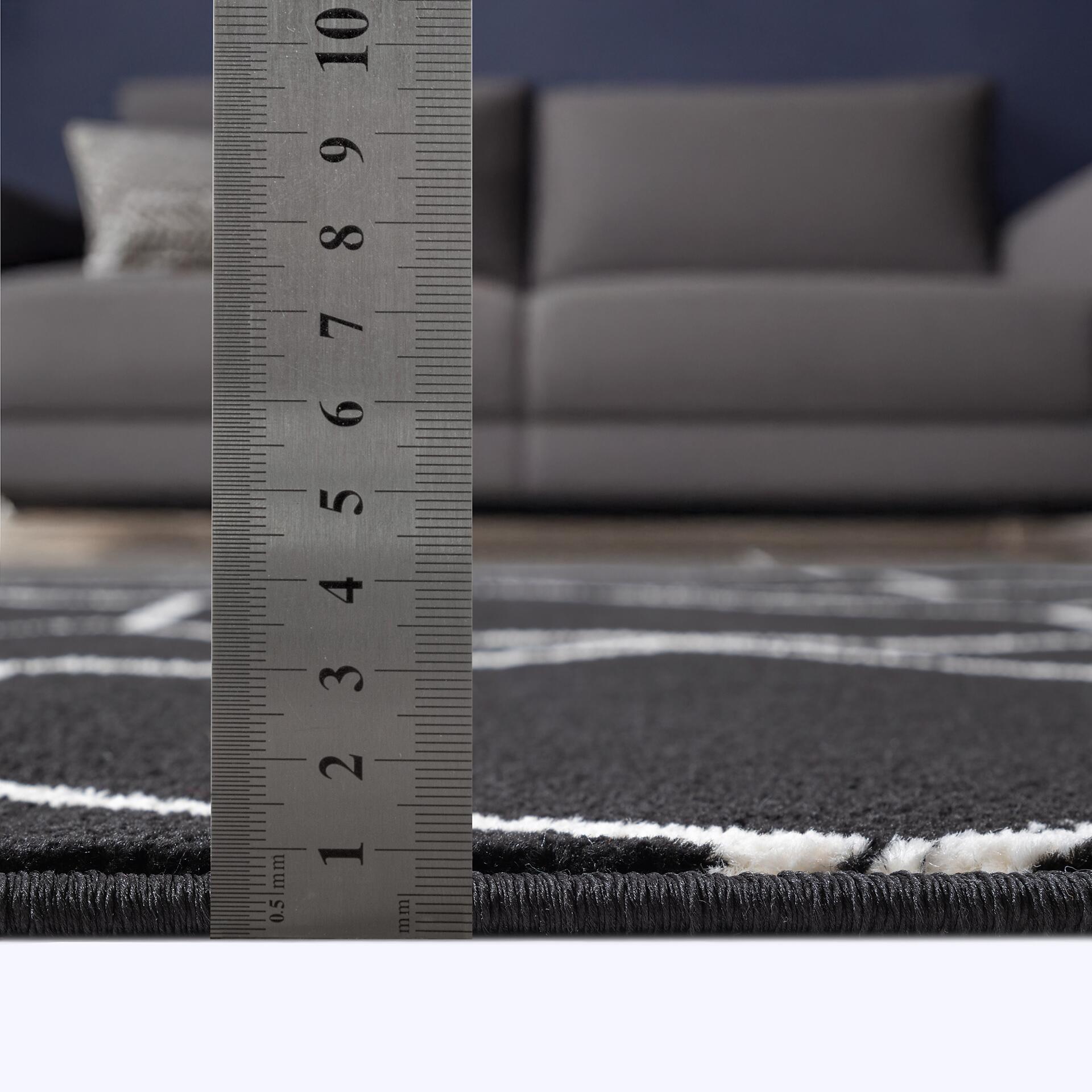 Sanat Teppich Trellis schwarz B/L: ca. 80x150 cm