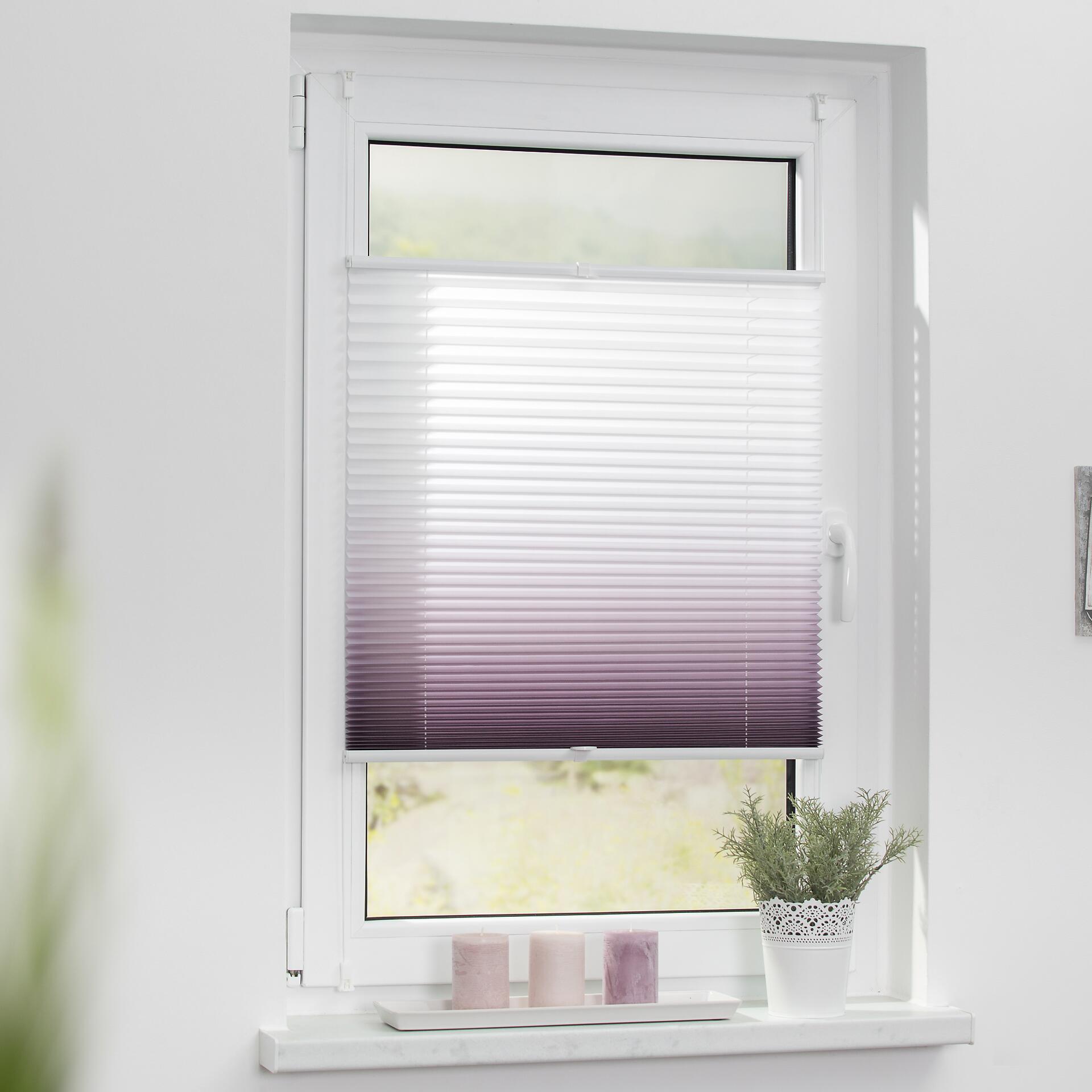 LICHTBLICK Spannplissee Farbverlauf lila B/L: ca. 100x130 cm