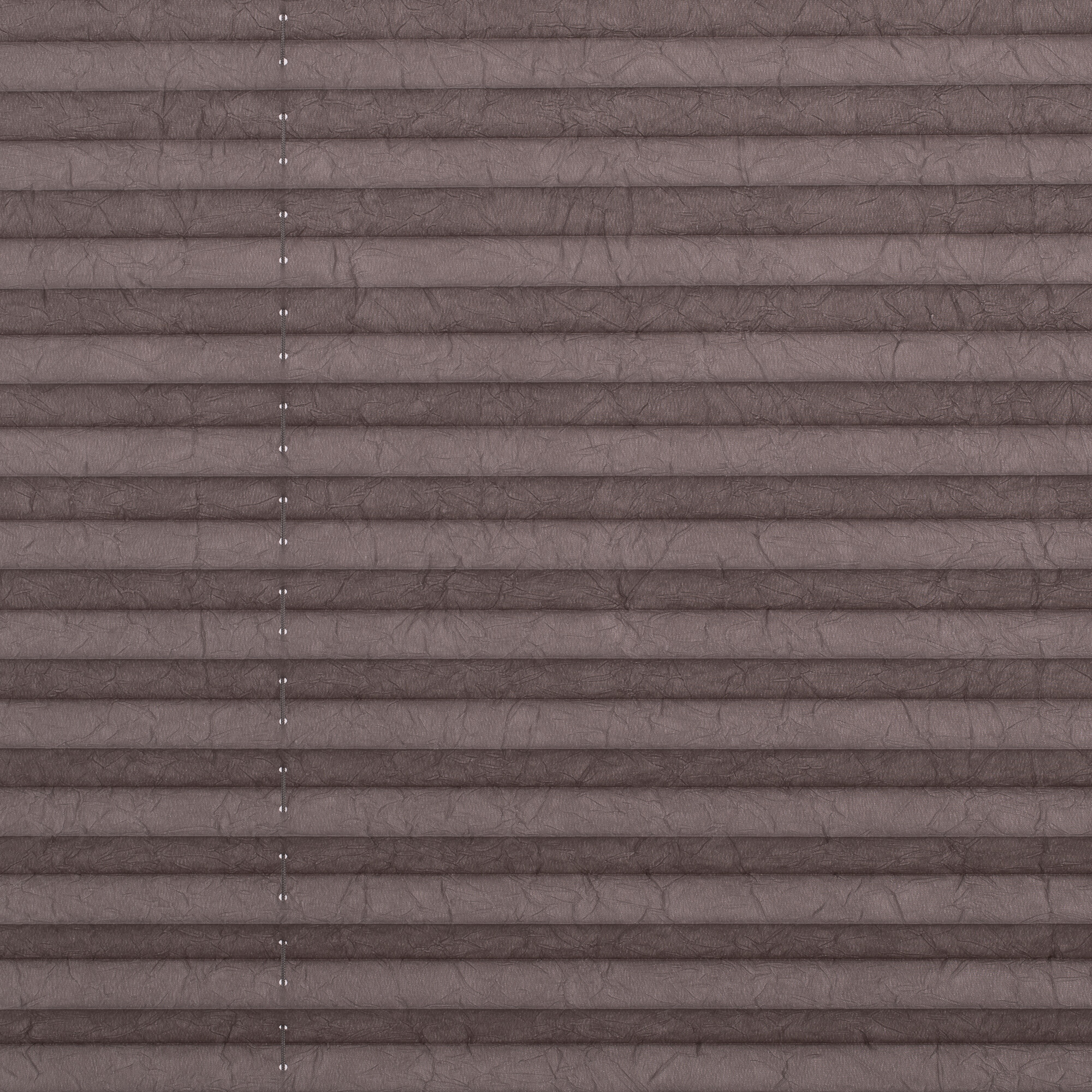 LICHTBLICK Spannplissee taupe B/L: ca. 80x210 cm