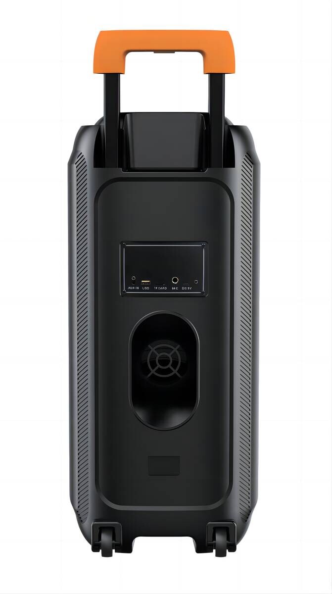 Denver LautsprecherTSP-456 schwarz B/H/T: ca. 29x64x30 cm