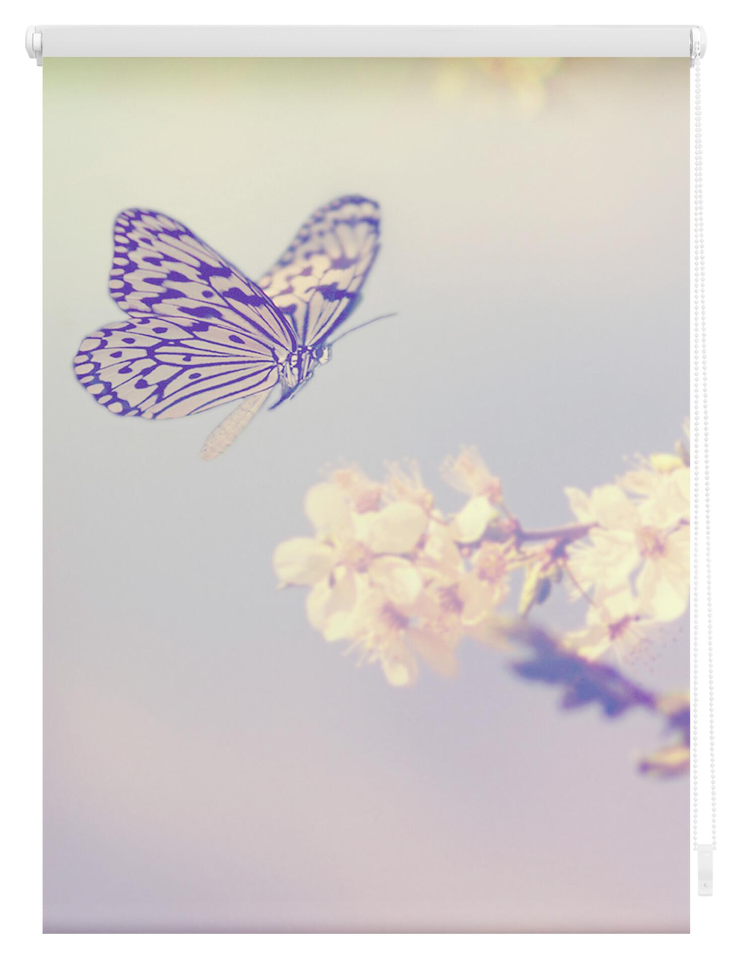 LICHTBLICK Verdunkelungsrollo Schmetterling rosa B/L: ca. 80x150 cm