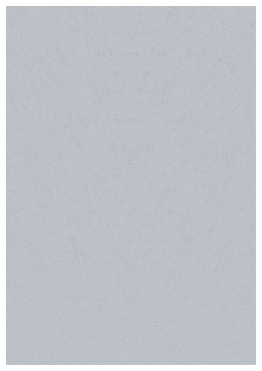 Ayyildiz Teppich SKY silber B/L: ca. 160x230 cm Ayyildiz Teppich SKY silber B/L: ca. 160x230 cm