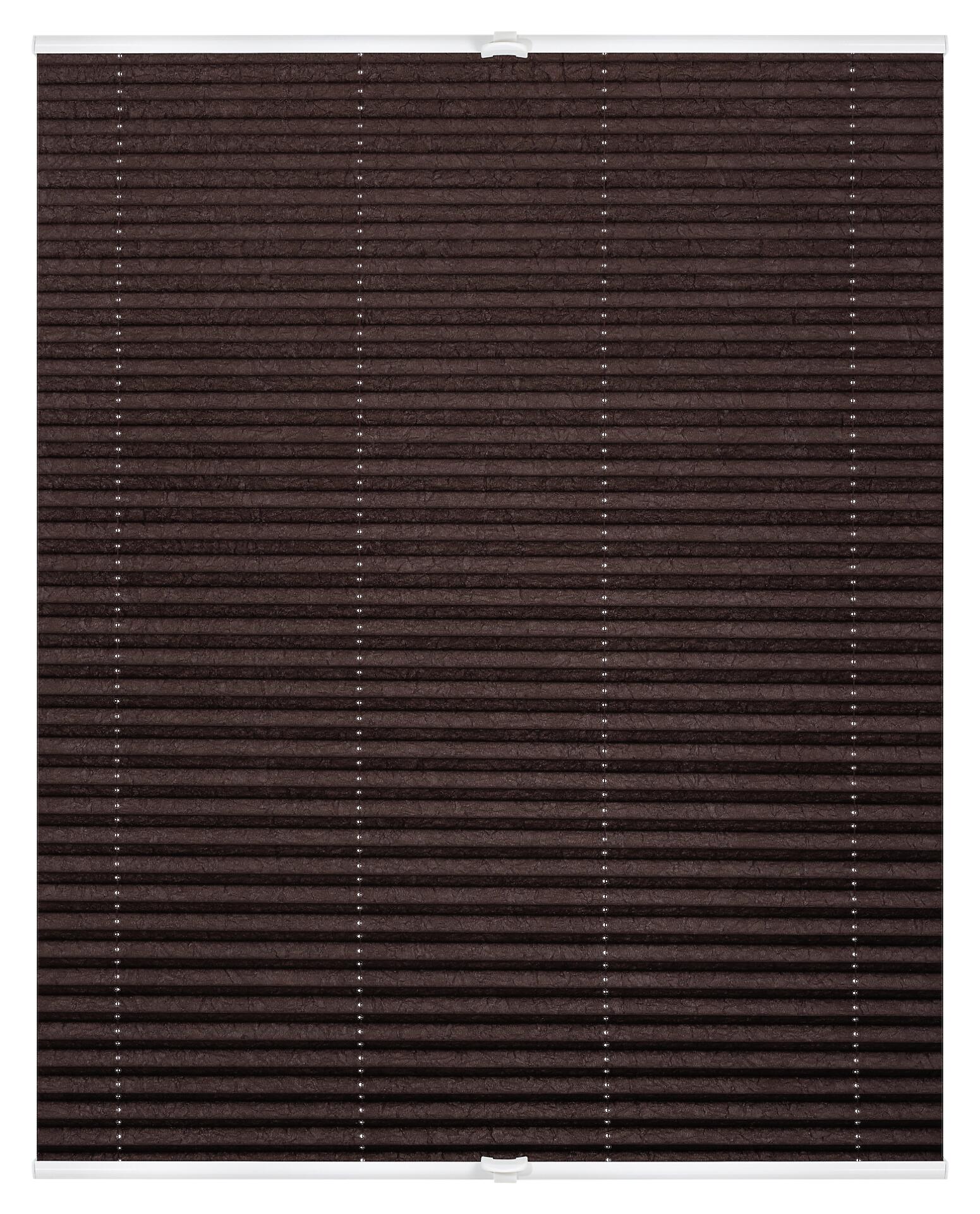 LICHTBLICK Spannplissee braun B/L: ca. 65x130 cm