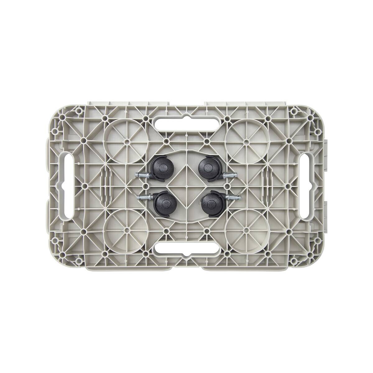 Dolly Transportroller grau B/H/L: ca. 29x12,5x48 cm