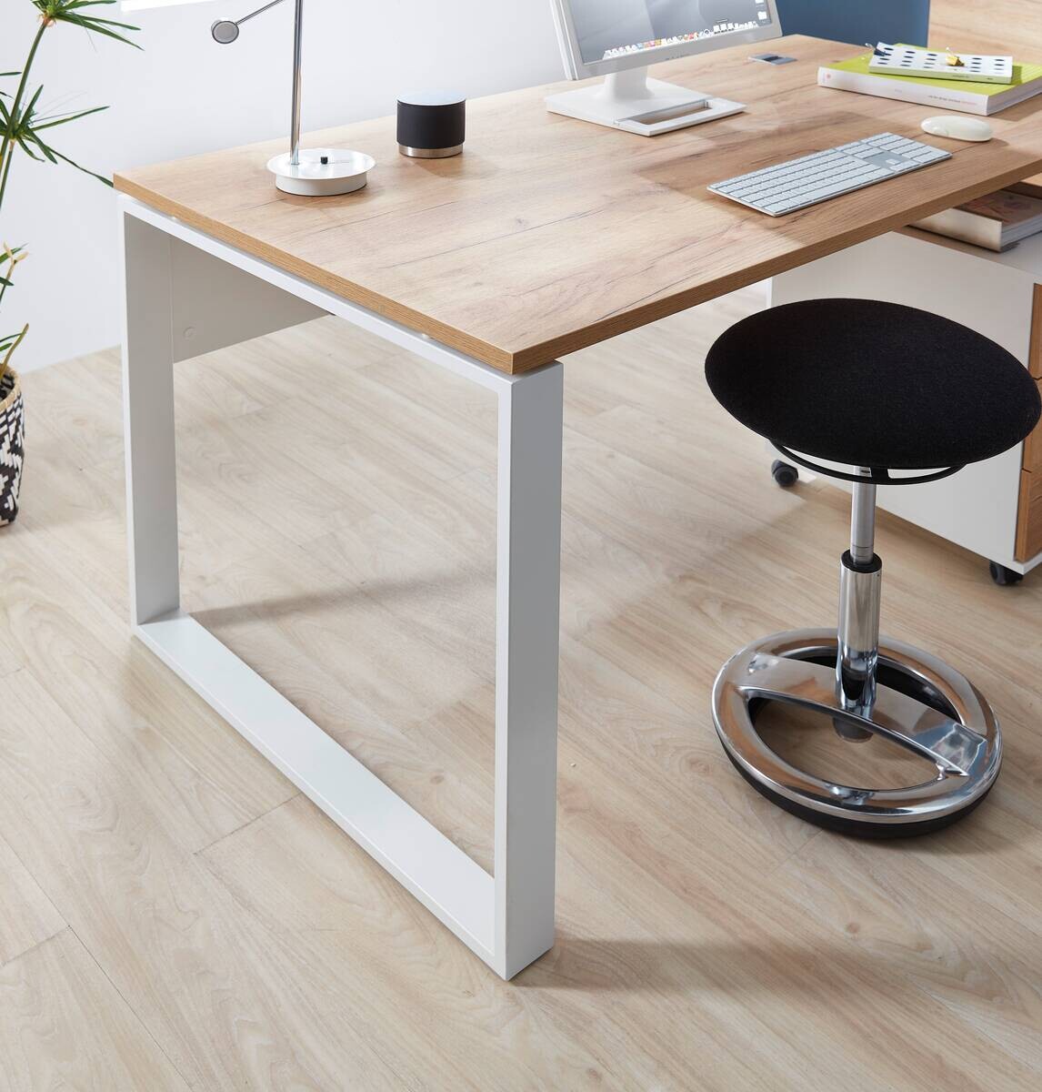 Schreibtisch 4157-513 weiß Eiche Navarra Nachbildung B/H/T: ca. 158x75x79 cm