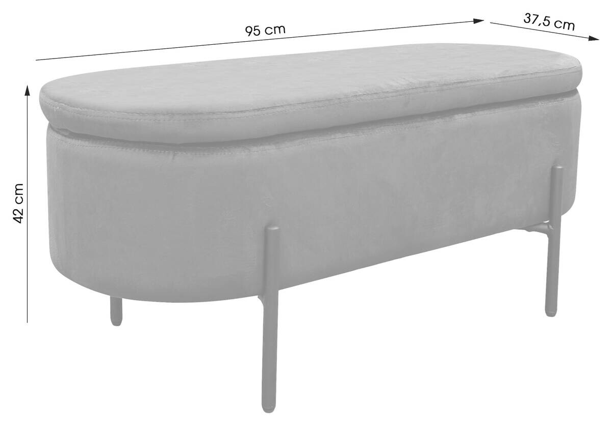 Truhe NOVA grau B/H/T: ca. 95x42x37,5 cm