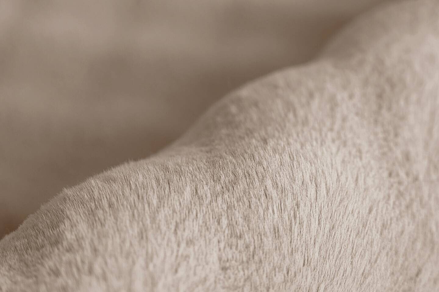 Padiro Hochflorteppich Hailey 125 beige B/H/L: ca. 80x3x150 cm