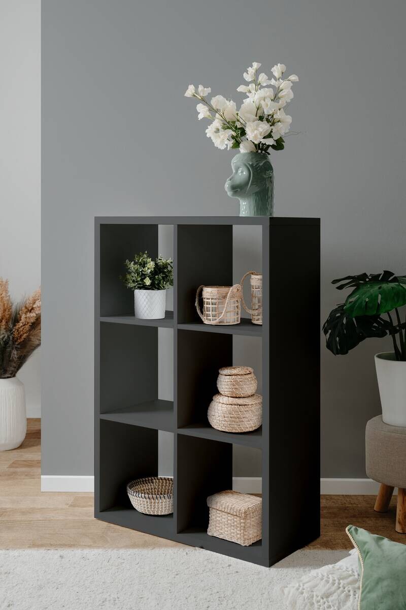 Raumteiler Max anthrazit B/H/T: ca. 73x107x33 cm