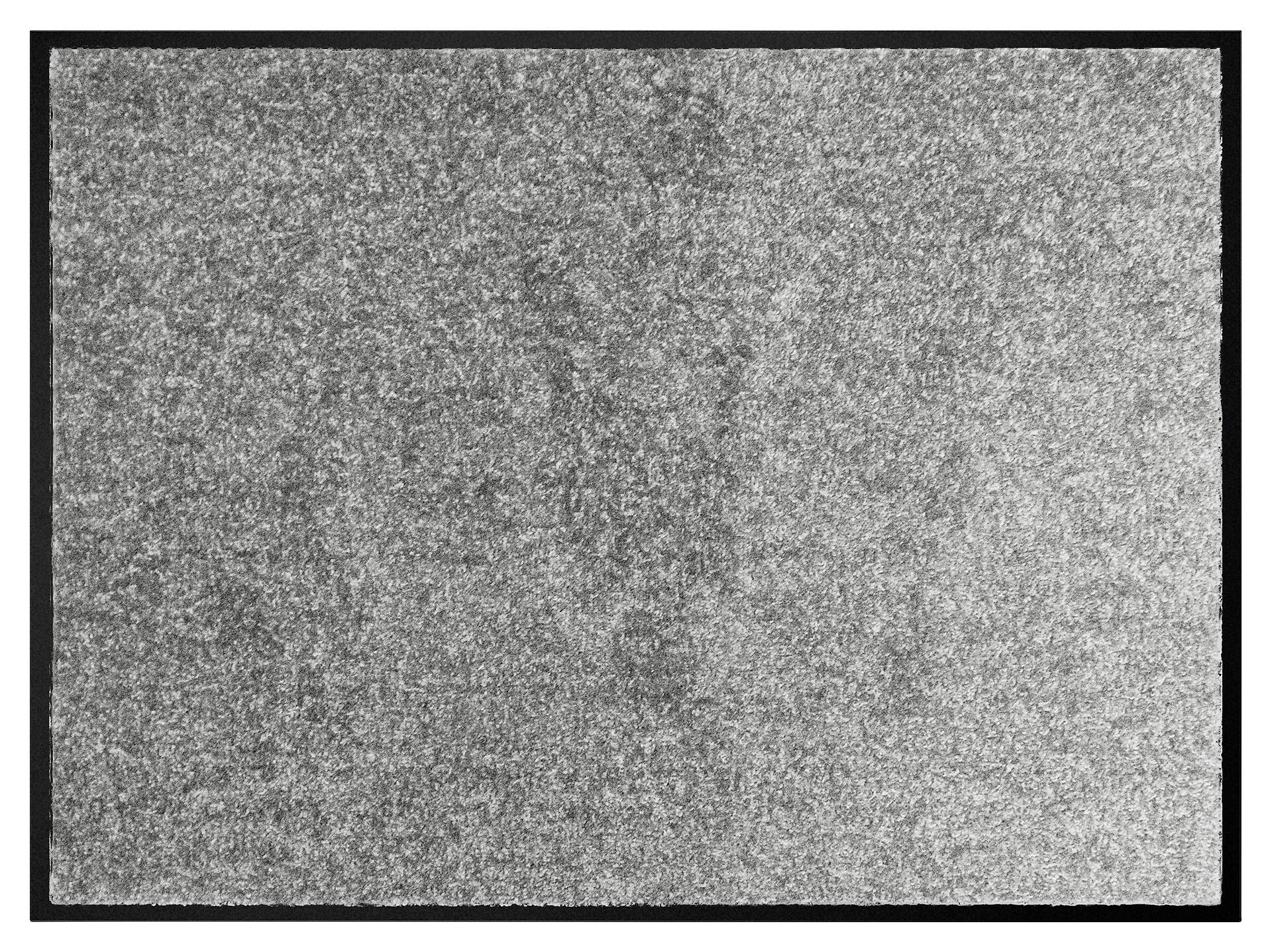 Schmutzfangmatte Alpha grau B/L: ca. 60x80 cm