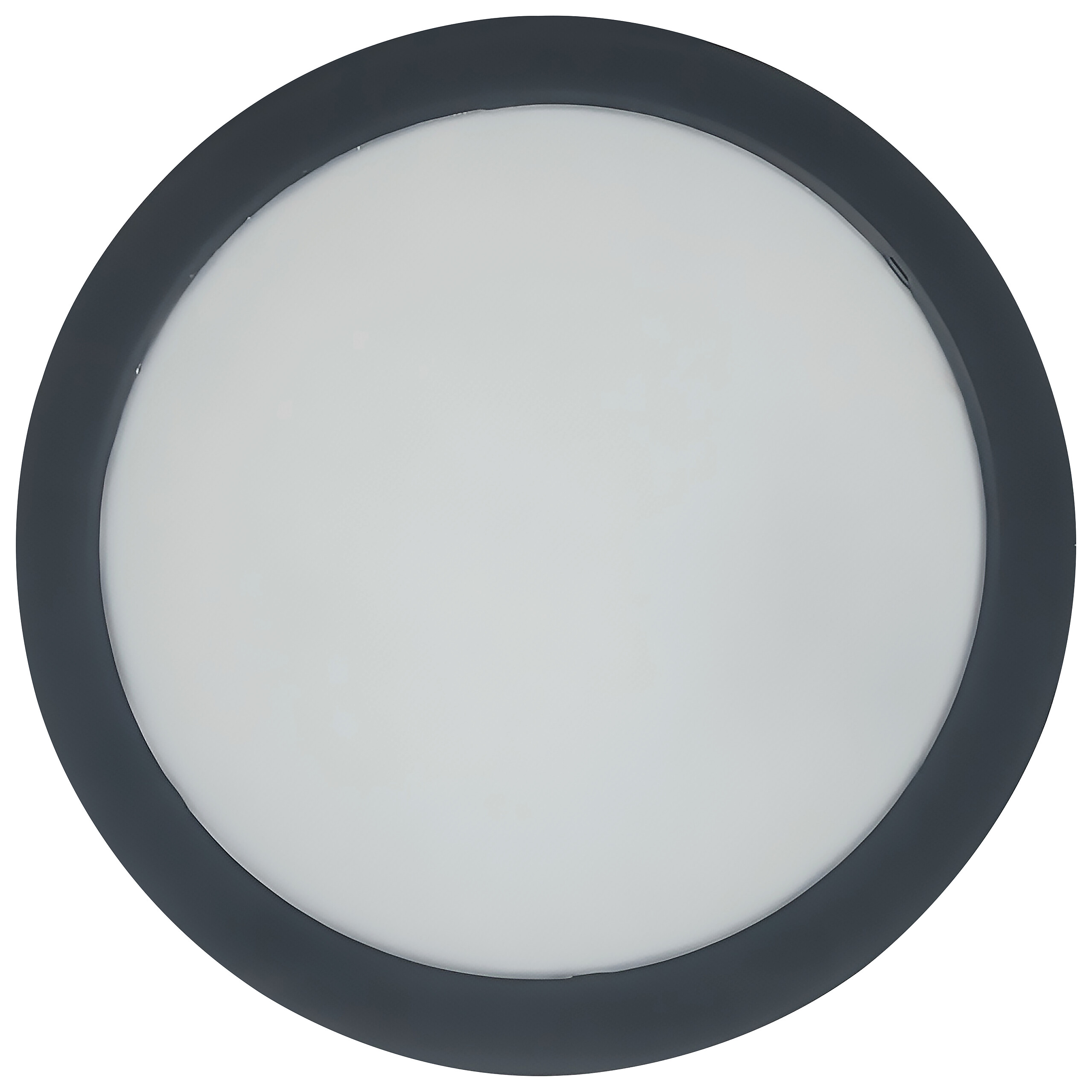 POCOline LED-Deckenleuchte Clara schwarz Kunststoff H/D: ca. 3x28 cm