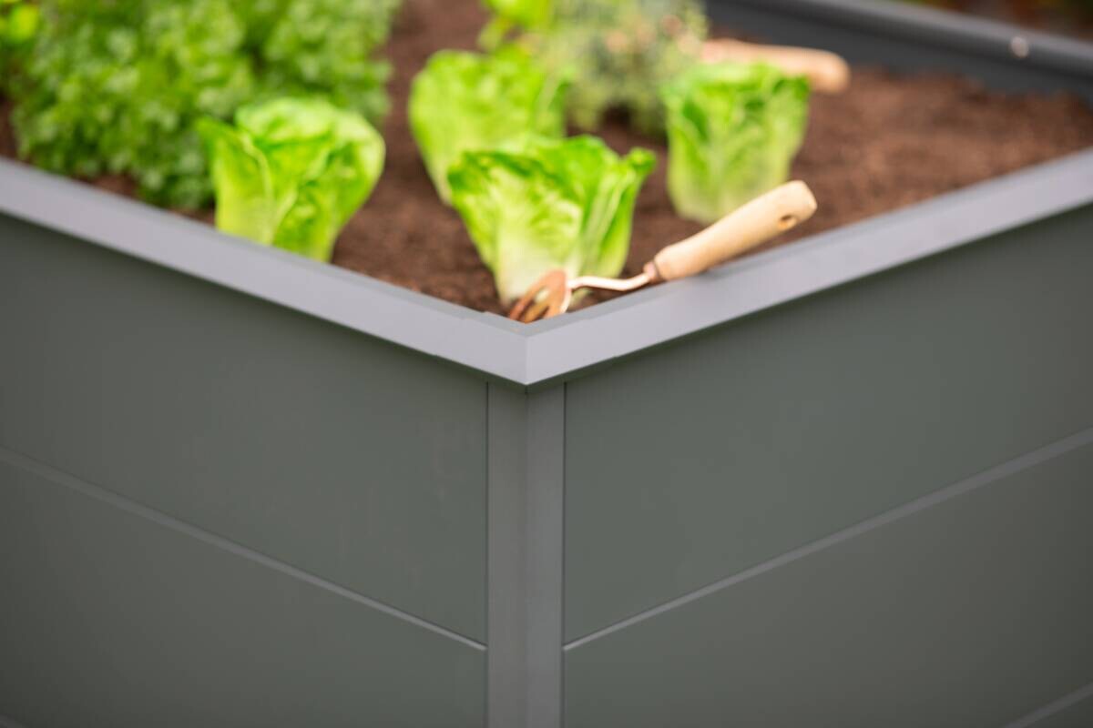 Westmann Hochbeet Primus XL anthrazit Metall B/H/T: ca. 200x77x100 cm