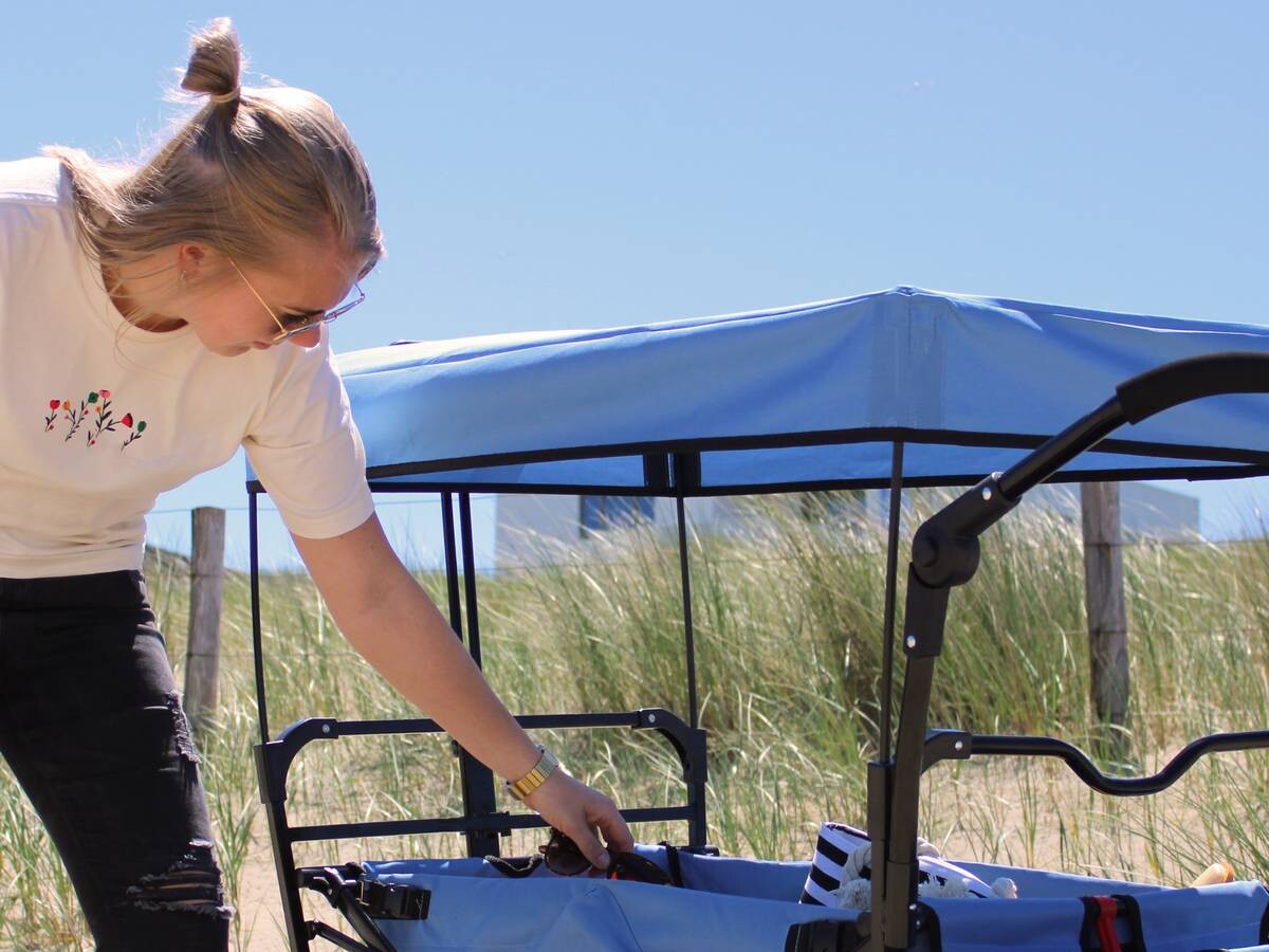 AXI Bollerwagen AB210 grau B/H/L: ca. 59x102x134 cm