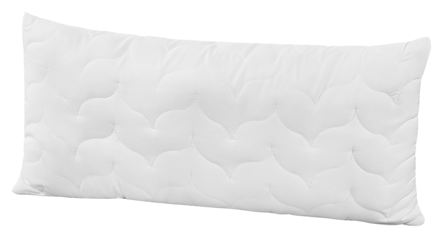 Kopfkissen Aloe Vera