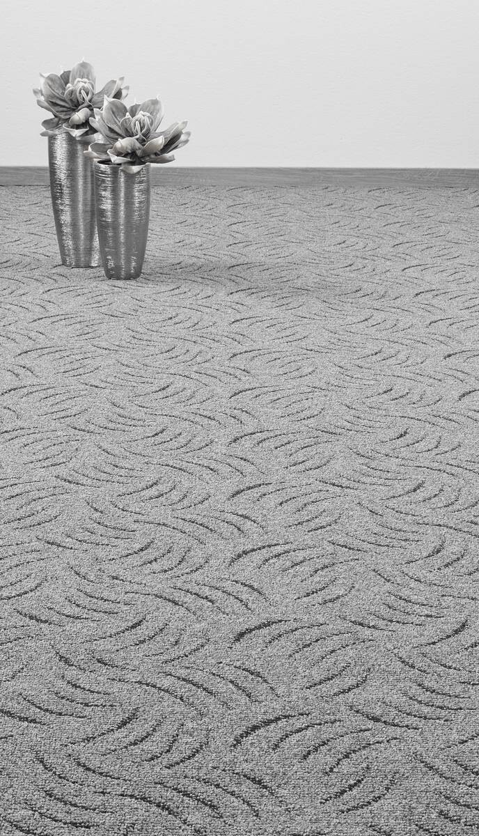 Teppichboden Presto anthrazit B: ca. 400 cm pro m²