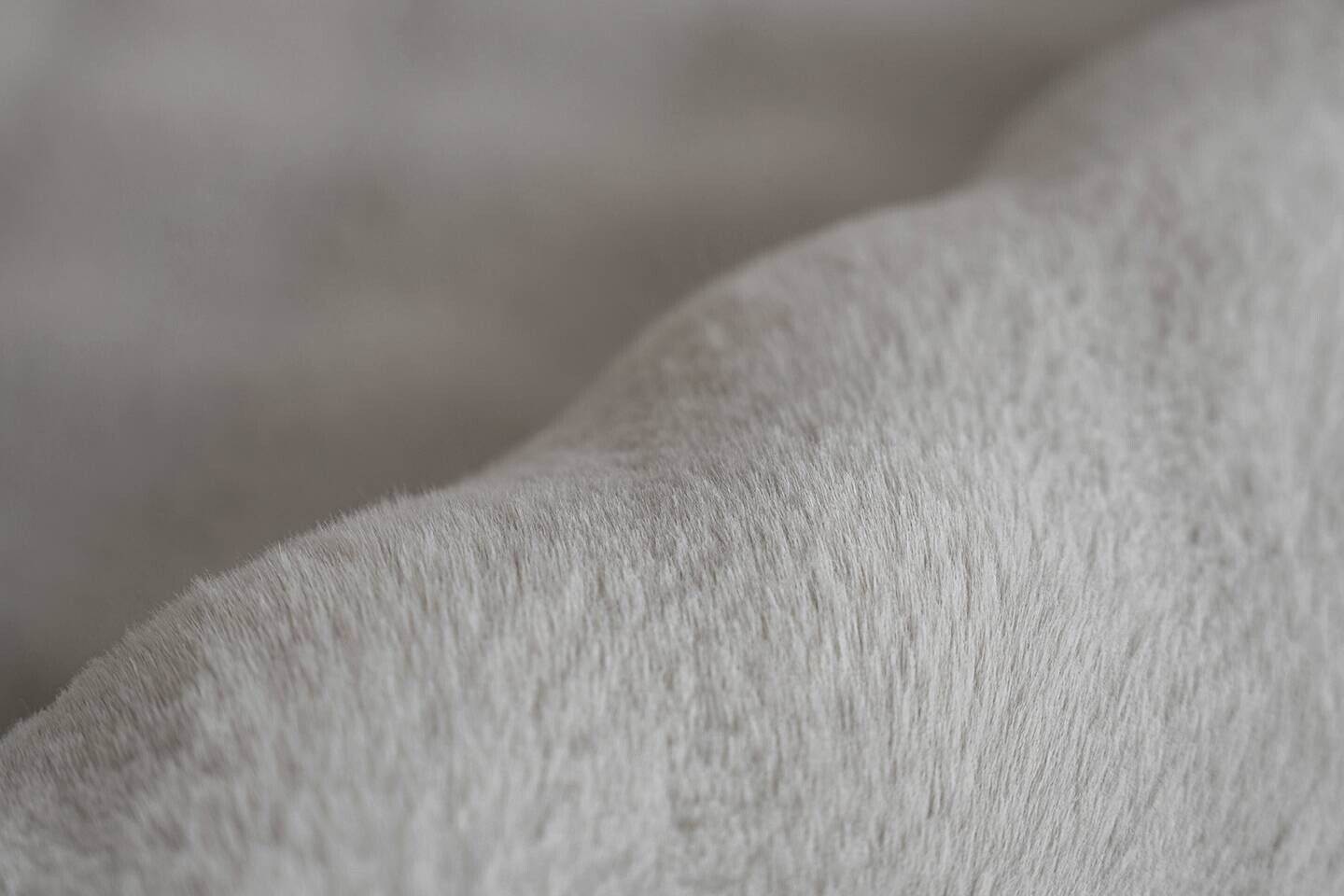 Padiro Hochflorteppich Hailey 125 grau B/H/L: ca. 200x3x290 cm