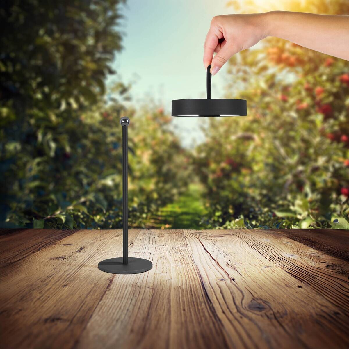 Näve Leuchten Tischleuchte 5315322 schwarz Metall Kunststoff B/H/T: ca. 12,5x35x12,5 cm 1 Brennstellen