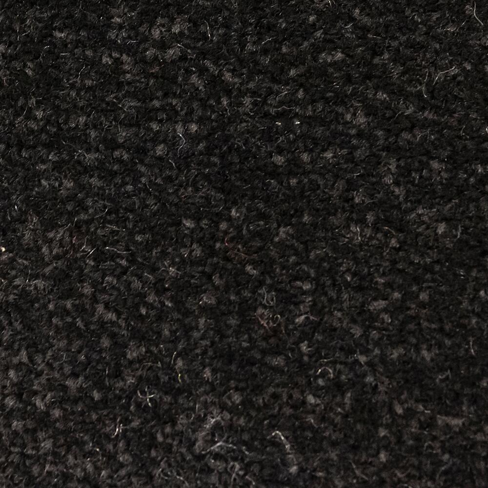 Schmutzfangmatte Alpha schwarz B/L: ca. 40x60 cm