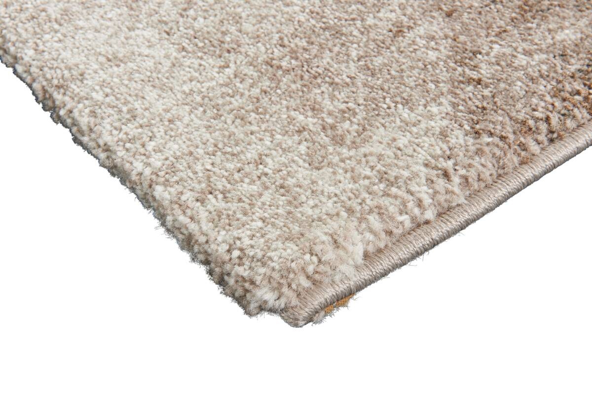 Teppich Rio braun B/L: ca. 160x230 cm