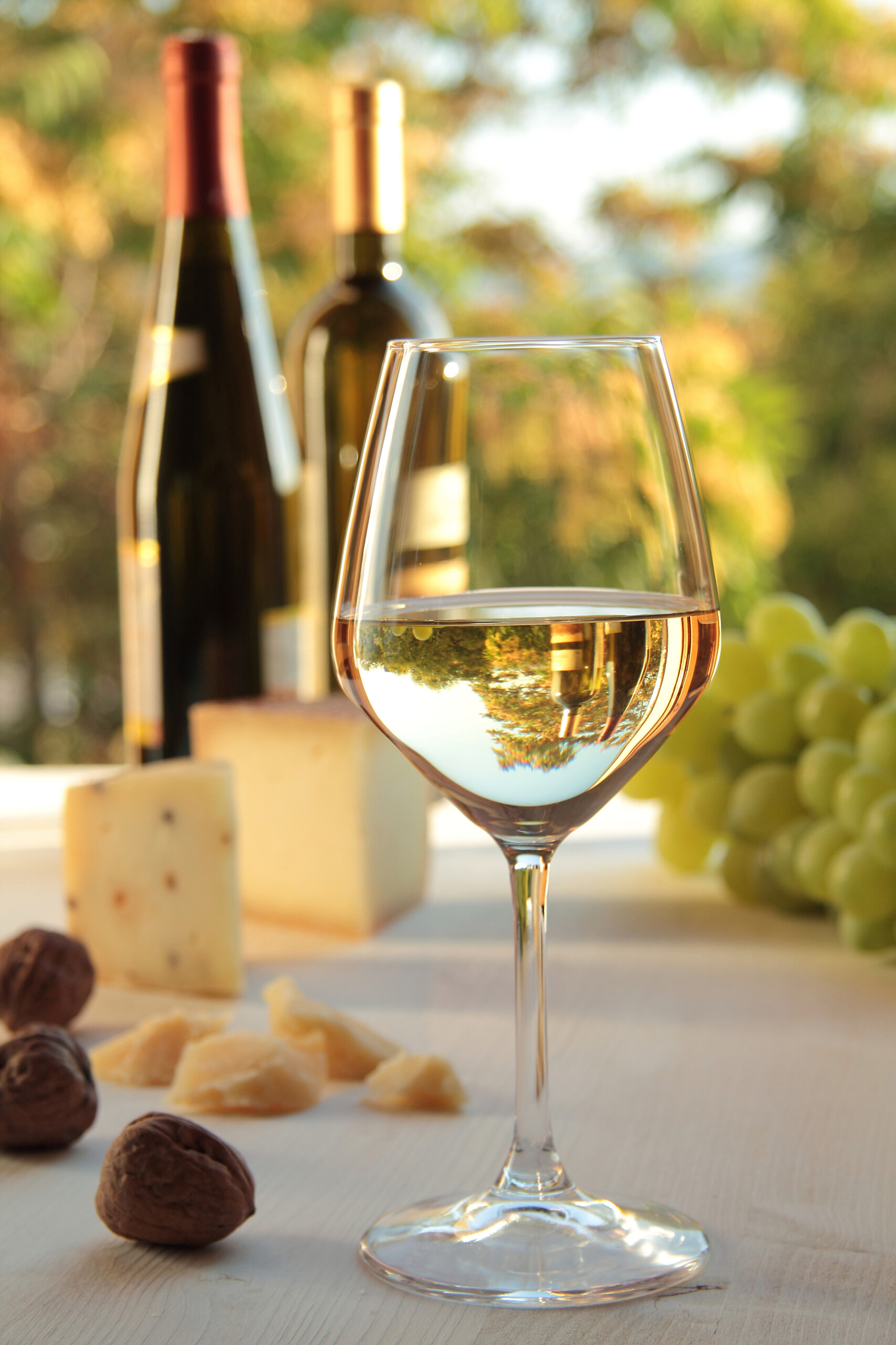 Kelchglasserie transparent