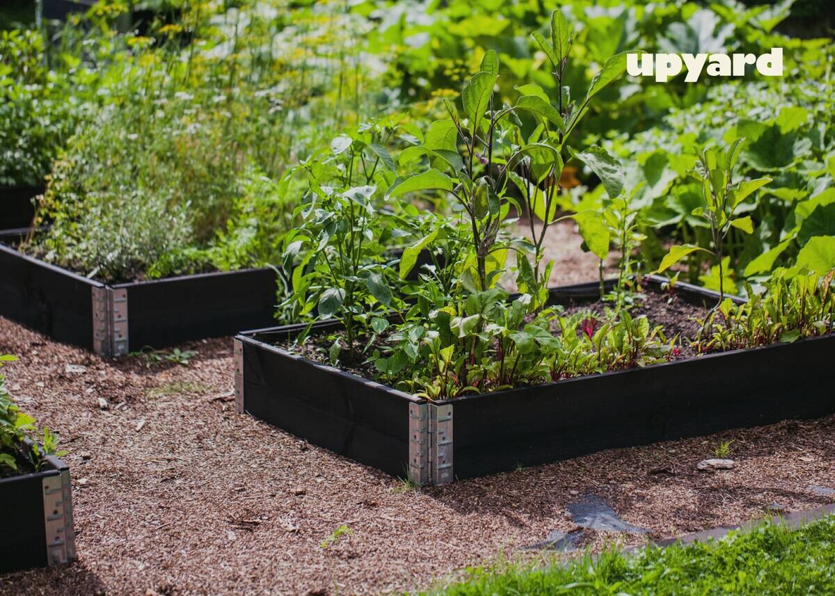 UPYARD Hochbeet INDUSTRIAL schwarz Holz B/L: ca. 80x120 cm