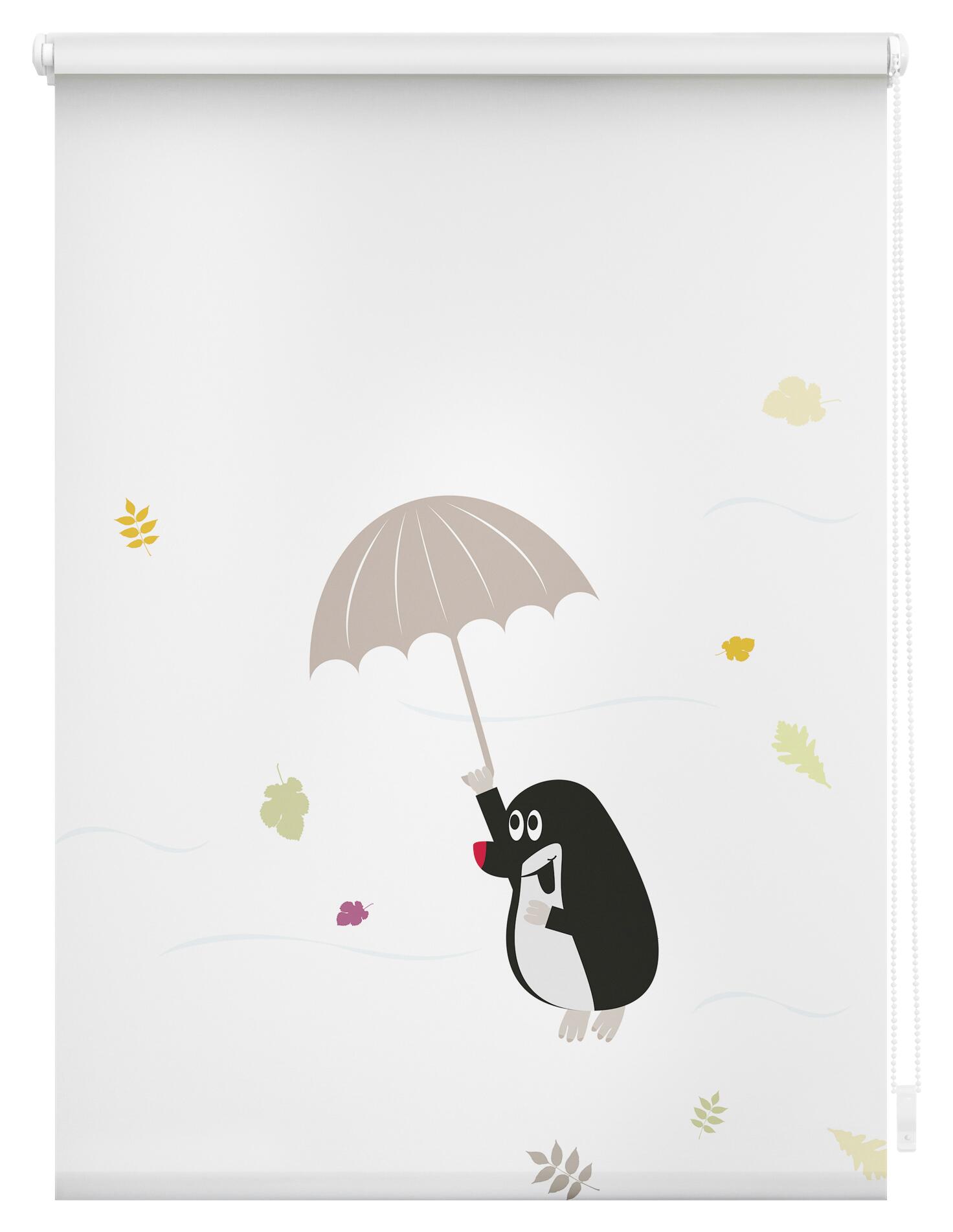 LICHTBLICK Verdunkelungsrollo Maulwurf bunt B/L: ca. 80x150 cm